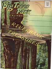 Load image into Gallery viewer, Curt Teich Santa Cruz county Big Trees Park postcard