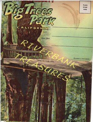 Curt Teich Santa Cruz county Big Trees Park postcard