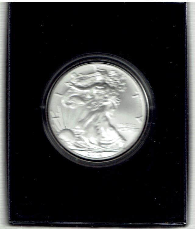 US Silver 1 Oz. Proof 2007 Burnished American Eagle
