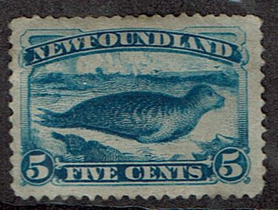 Canada New Foundland #54 MNG