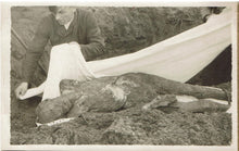 Load image into Gallery viewer, Germany Morbid WW II Postcard of exhumed body, To be given a decent burial.