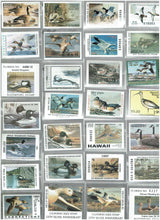 Load image into Gallery viewer, 1995 &amp; 1997 State Duck Mint Stamp Lot