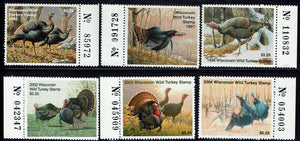 Wisconsin Turkey Hunting Stamps