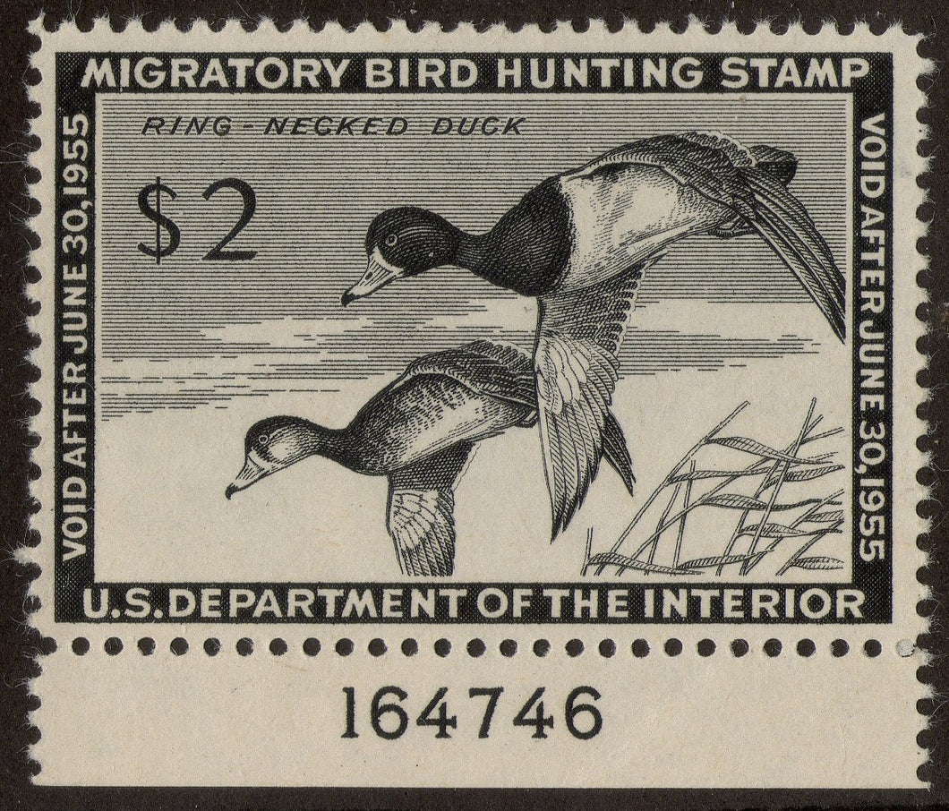US RW21 1955 Federal Duck Stamp, MLH