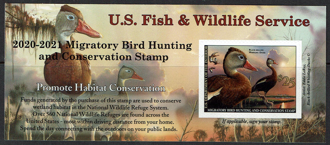 $25 Black-Bellied Whistling Duck Hunting Permit